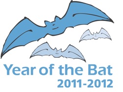 year of the bat